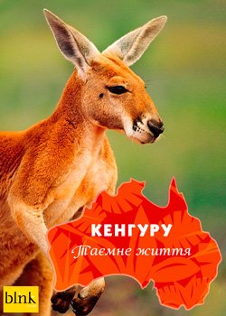 Кенгуру, таємне життя