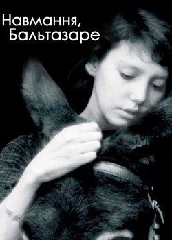 Навмання, Бальтазаре