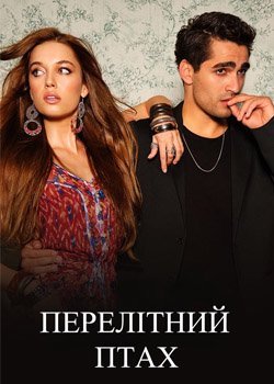 Перелітний птах
