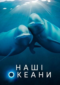 Наші океани