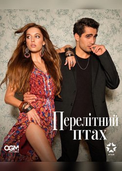 Перелітний птах