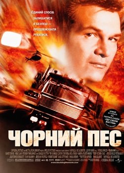 Чорний пес